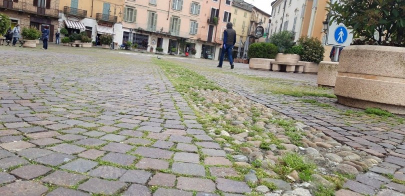 Manutenzione del verde pubblico: polemica a Moncalvo